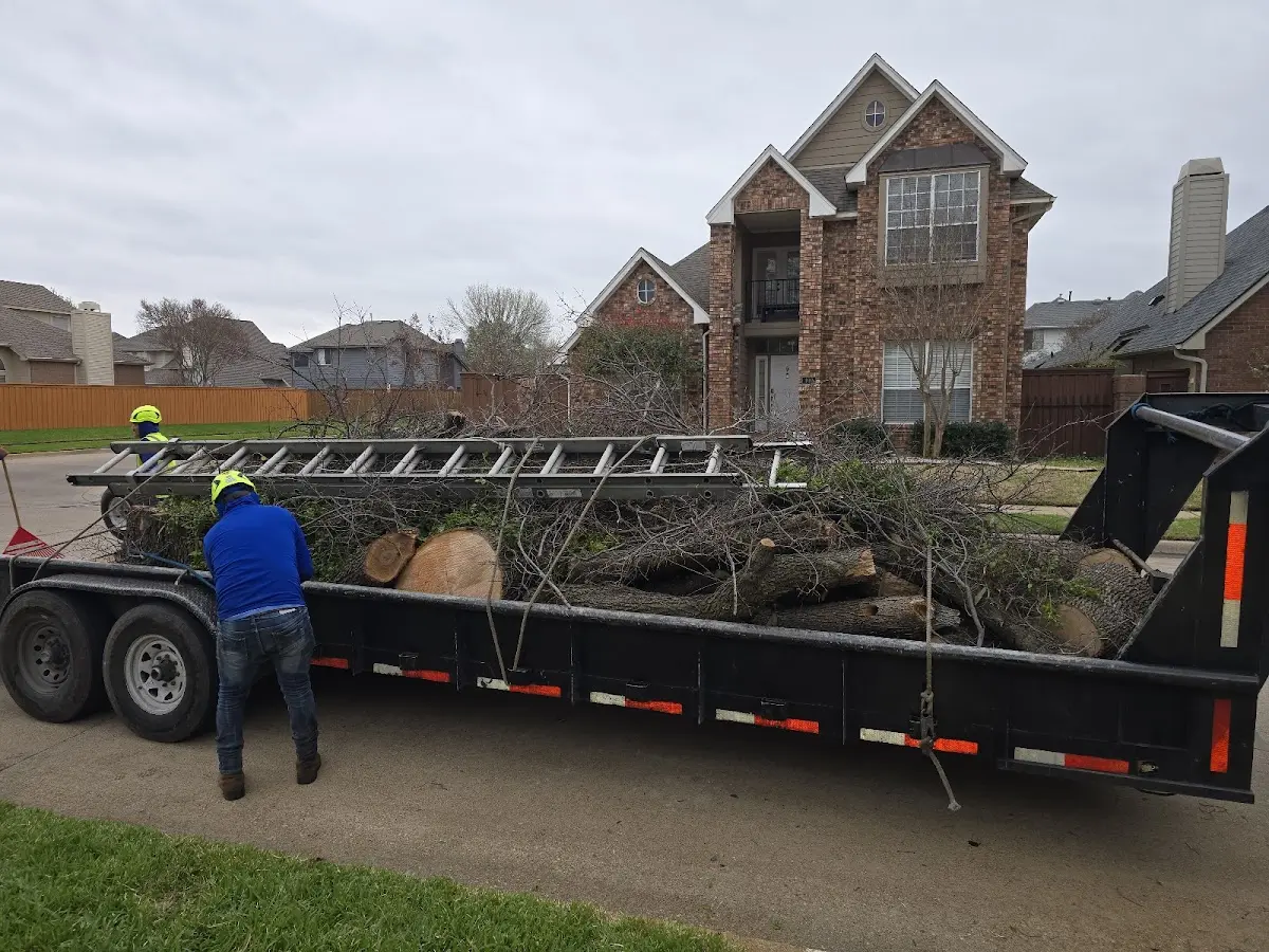 Expert Tree Pest Control with proper safety equipment in Milan